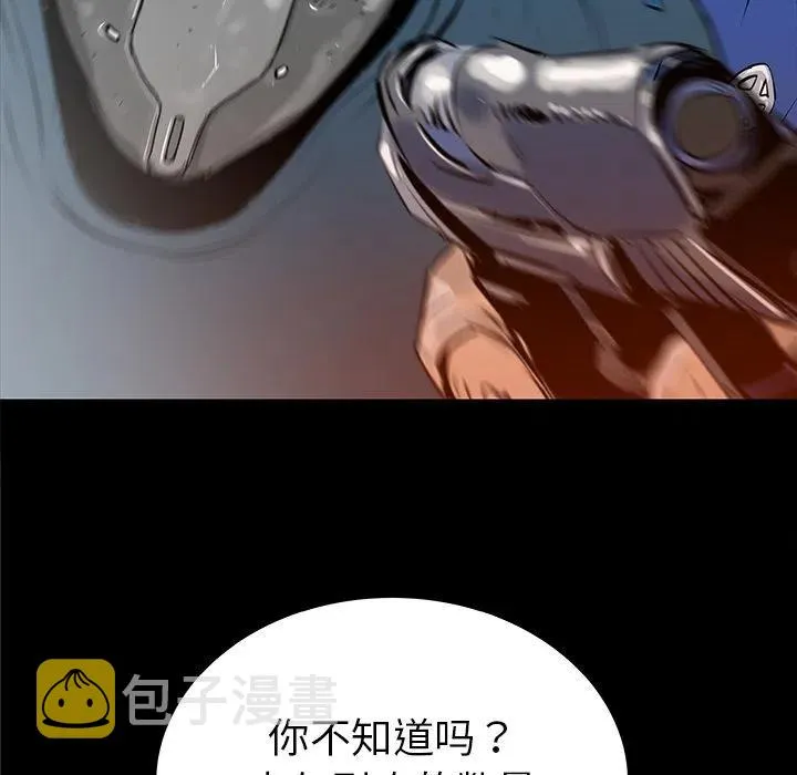 33 第43页