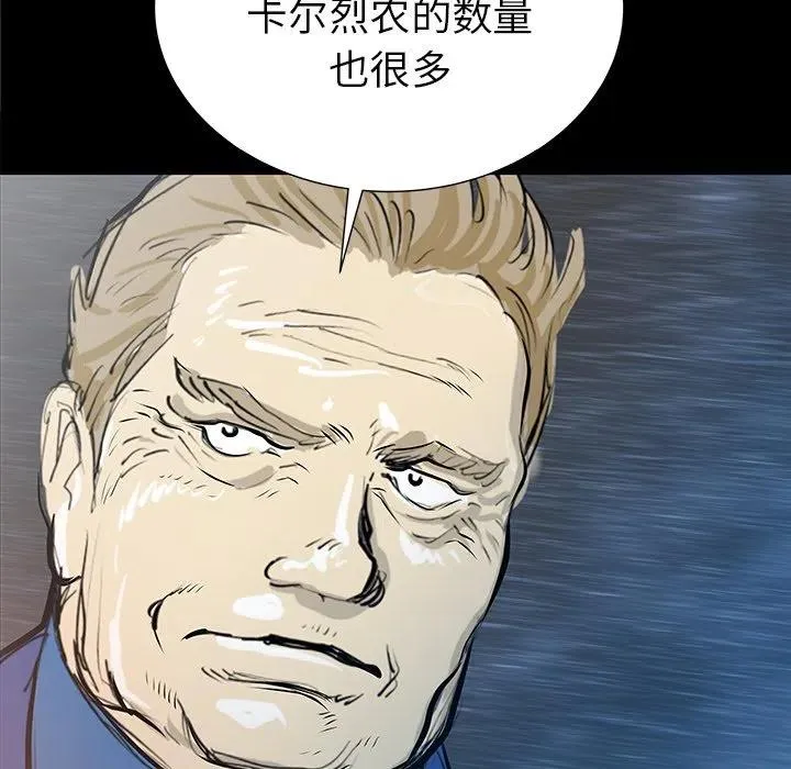 33 第44页