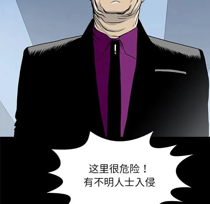 33 第111页
