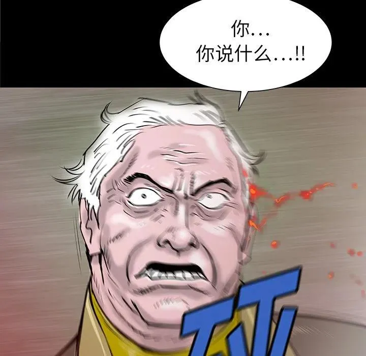 33 第116页