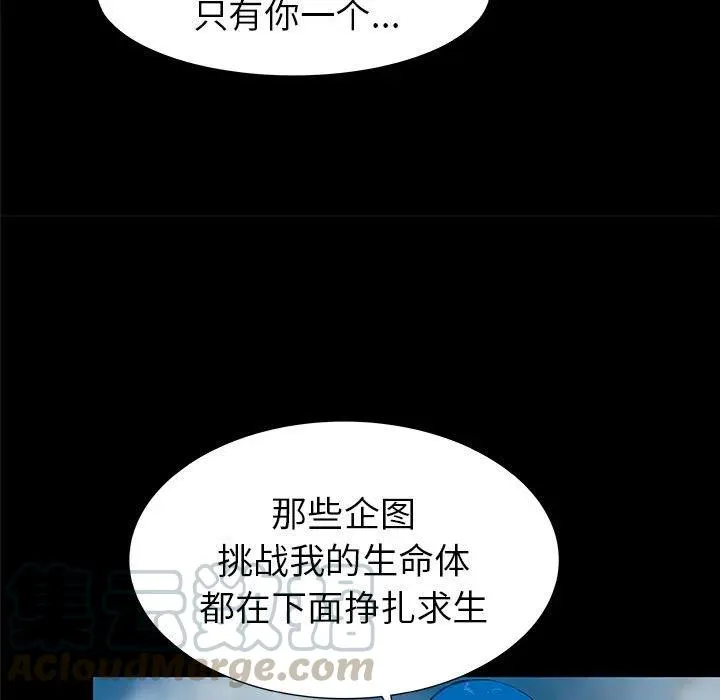 37 第61页