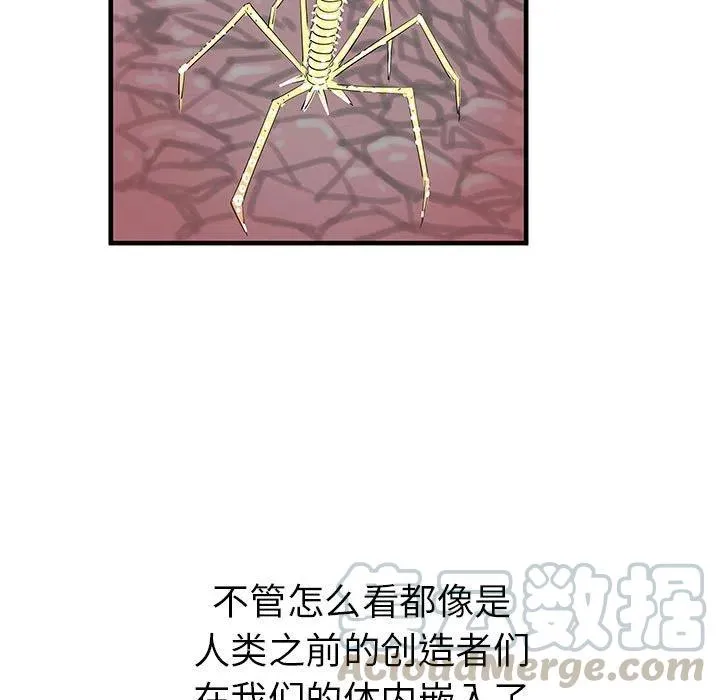 38 第5页