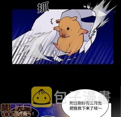 第26话 第25页