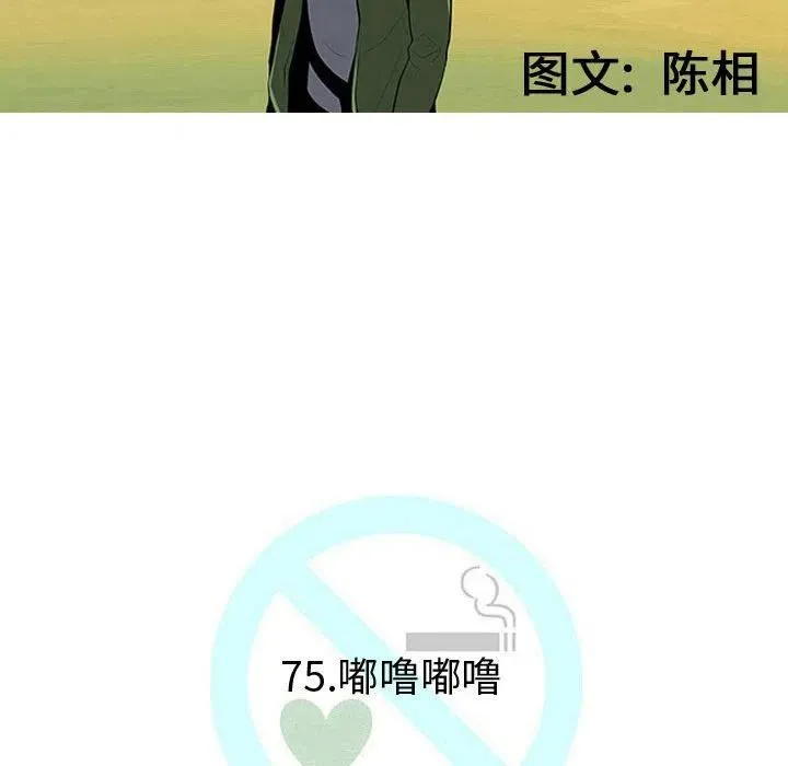 75 第43页