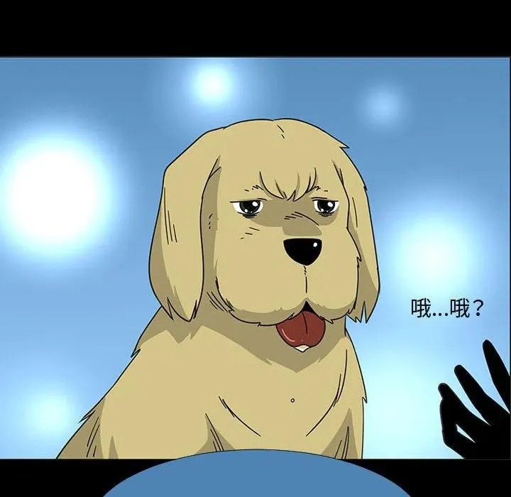 72 第20页