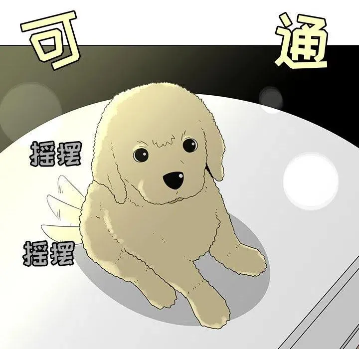 71 第68页