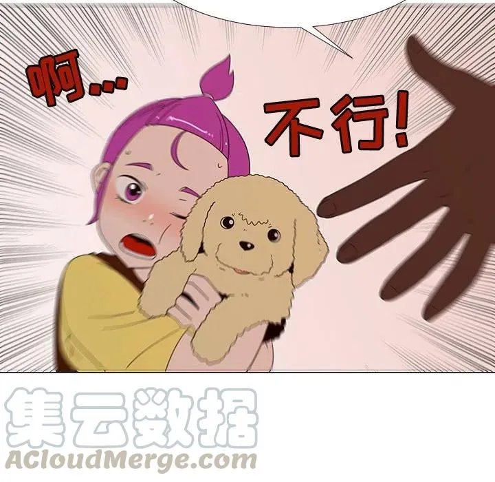 71 第77页