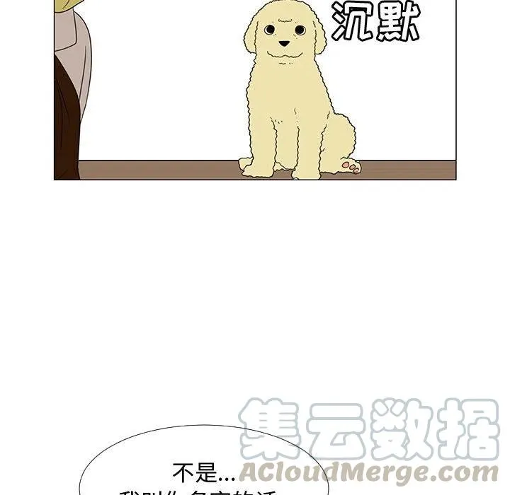 71 第81页