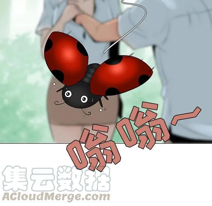 56 第17页