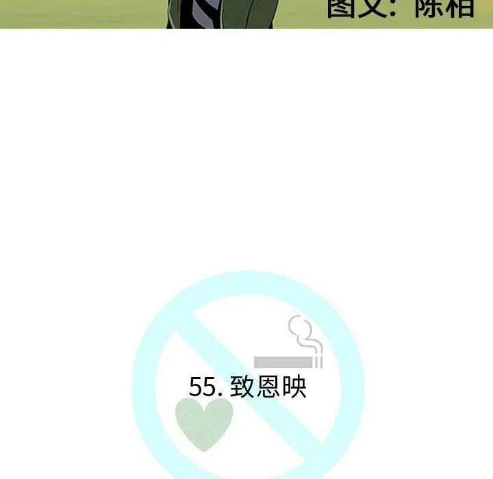 55 第31页