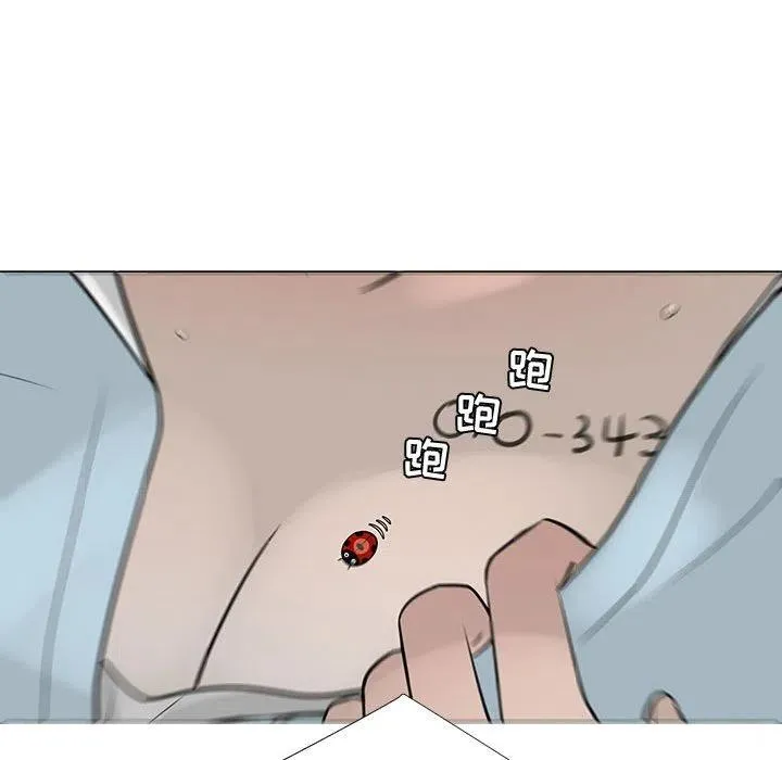 55 第115页