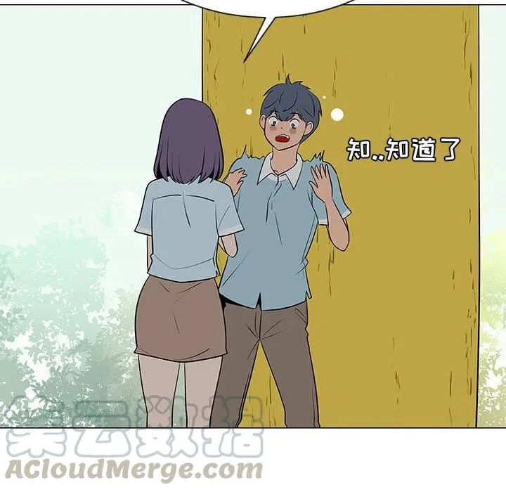 54 第41页