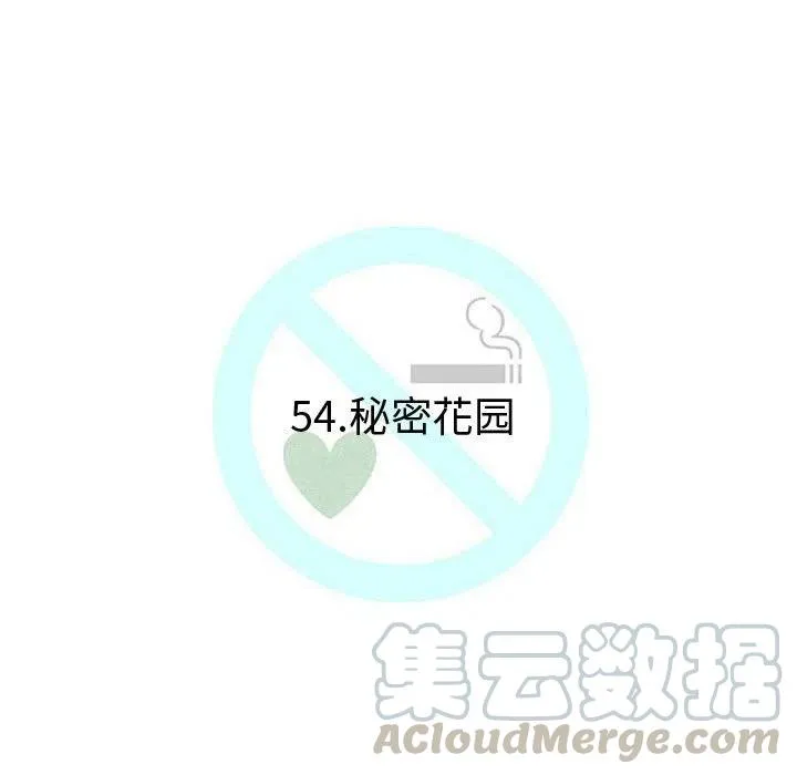 54 第65页