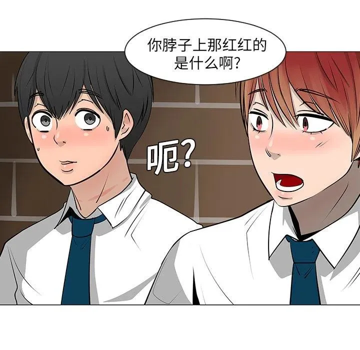 8 第17页