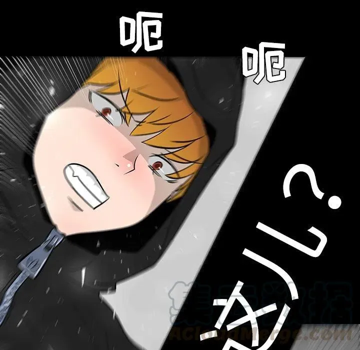 18 第113页