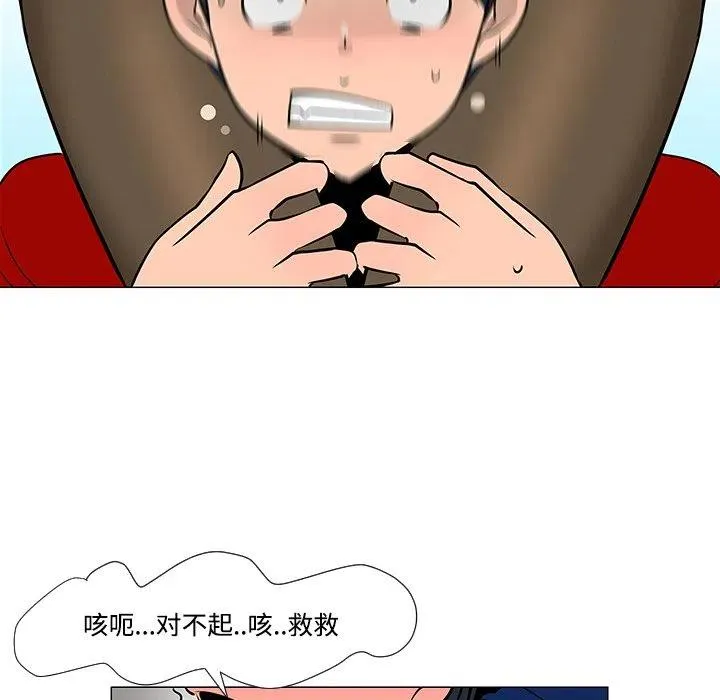 20 第48页
