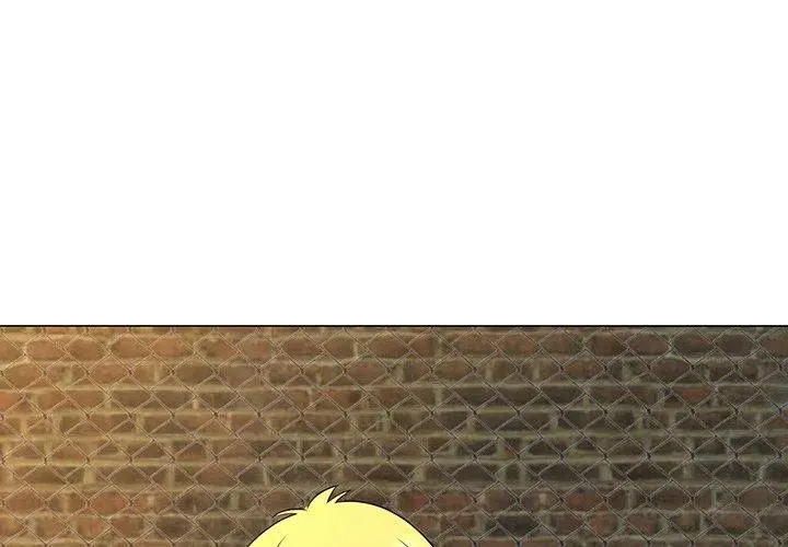 29 第3页