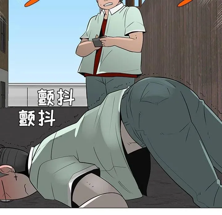 29 第55页