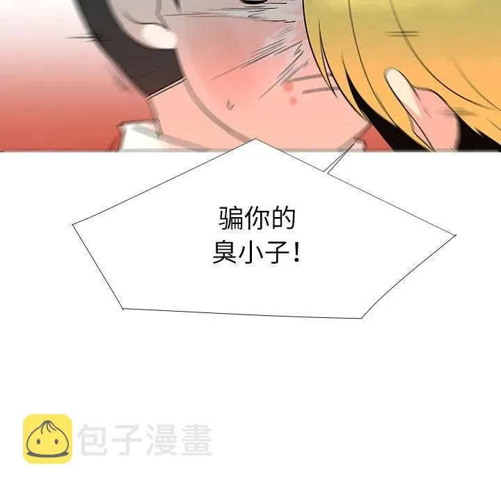 29 第96页