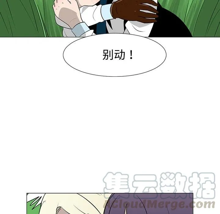 40 第81页