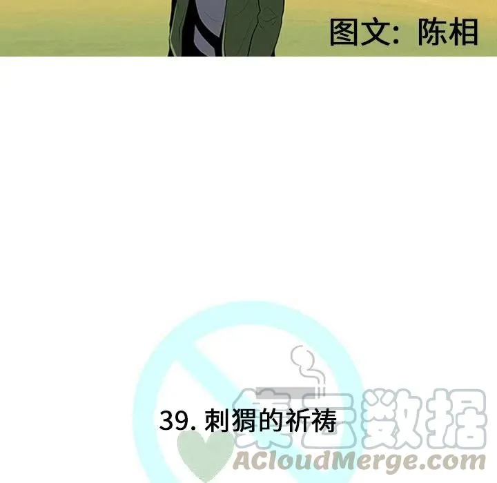 39 第49页