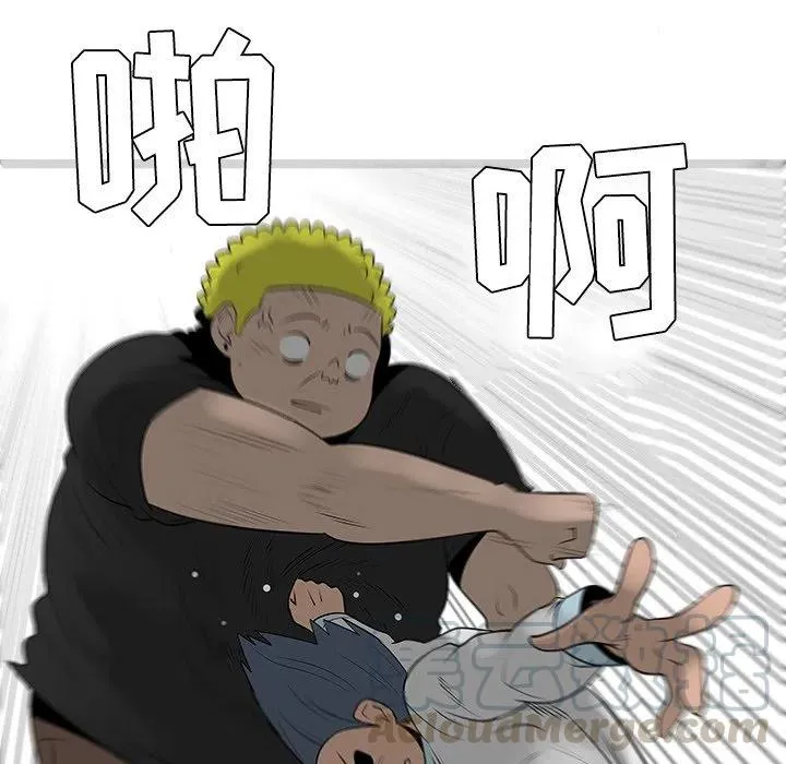 41 第37页