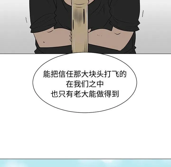 41 第55页
