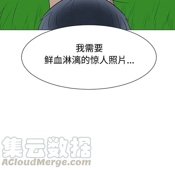 41 第113页