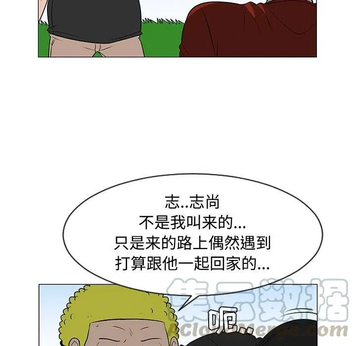 43 第17页