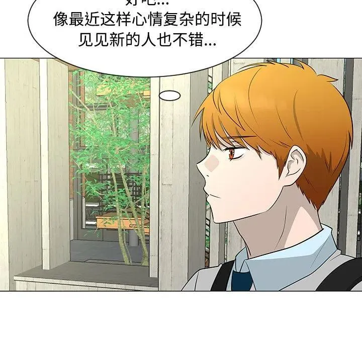 43 第36页