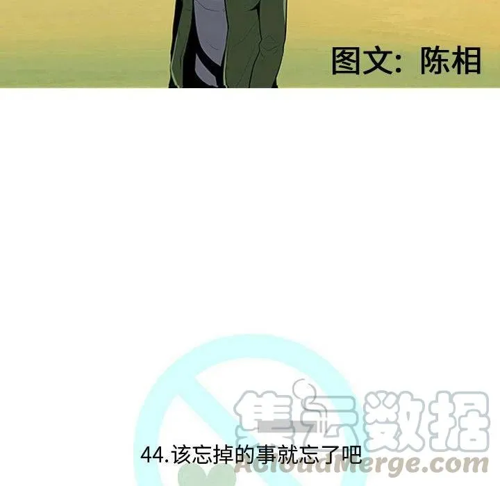44 第33页
