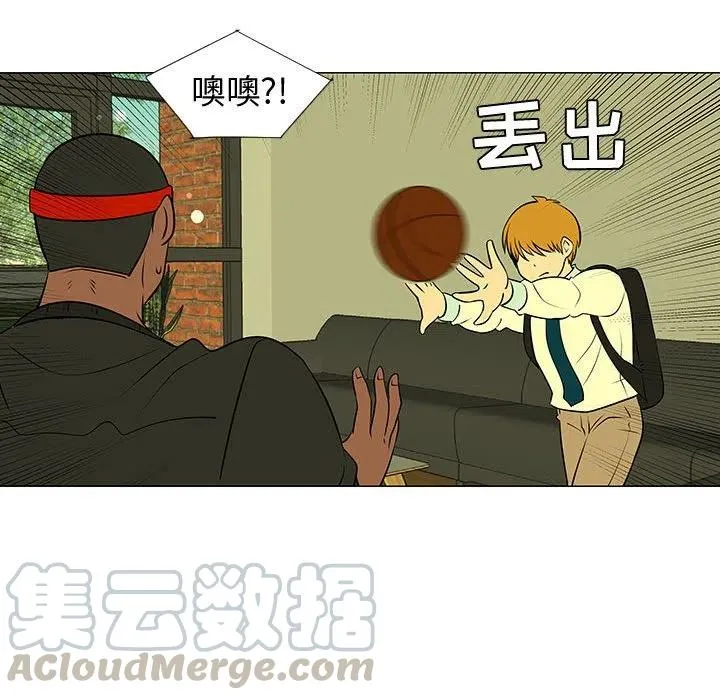 45 第17页