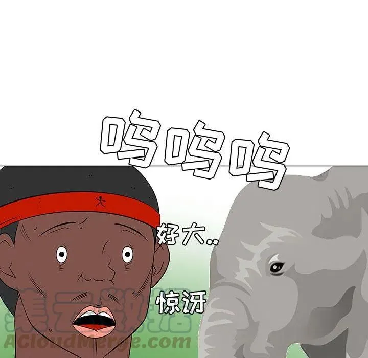 47 第41页