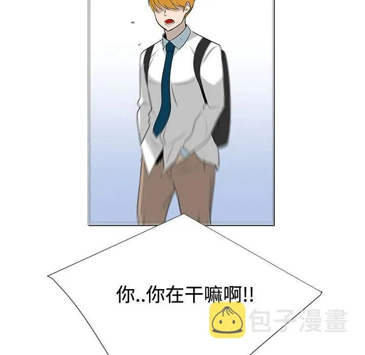 47 第43页