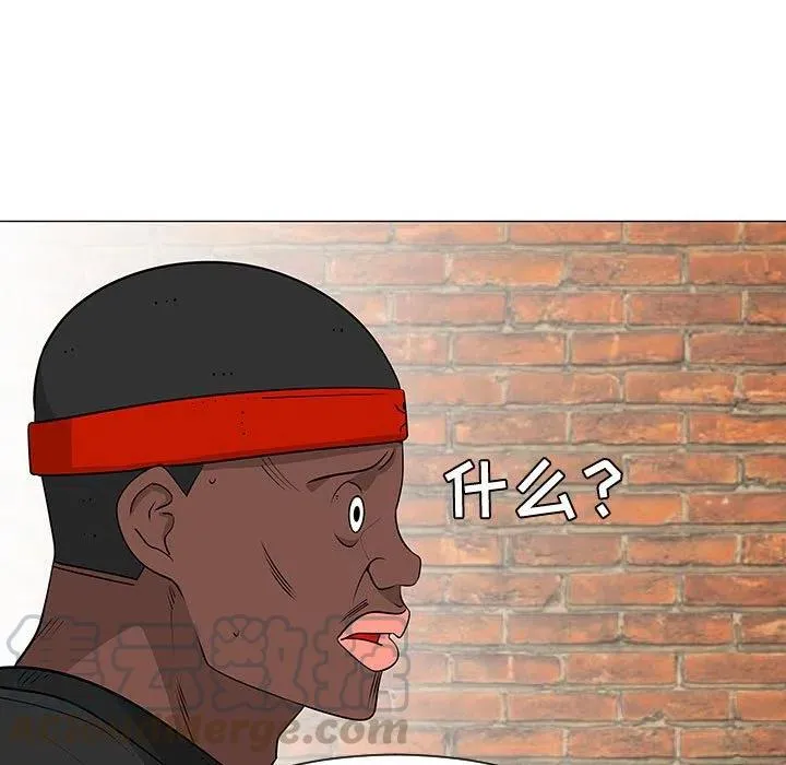 48 第5页