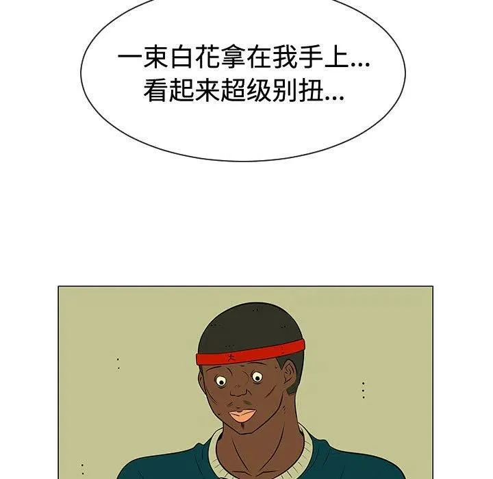 48 第15页