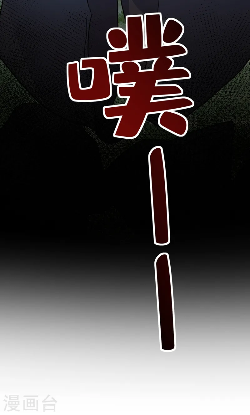 第253话 我不能毁掉这个禁制 第30页