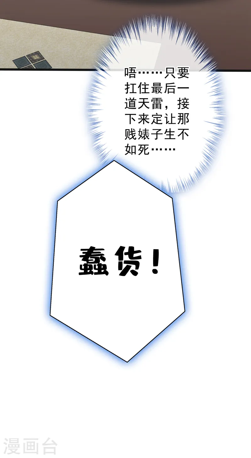 第146话 抗下天雷的滋味如何 第24页