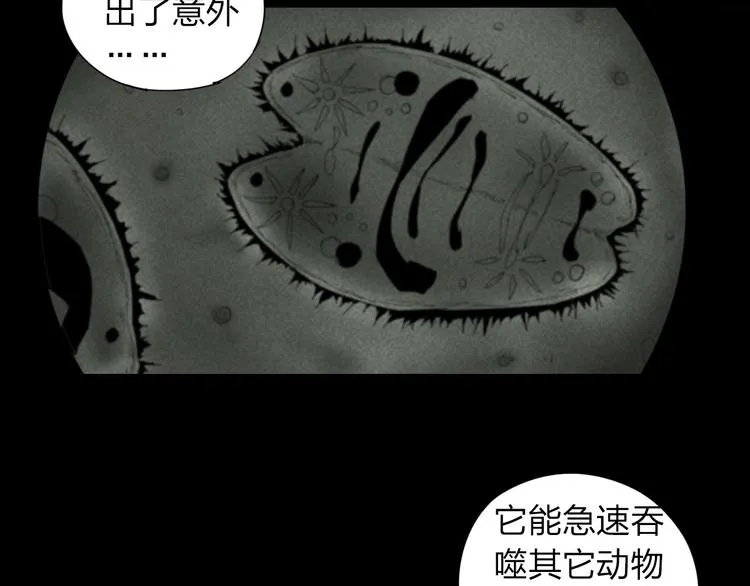 第14话 转移阵地 第13页