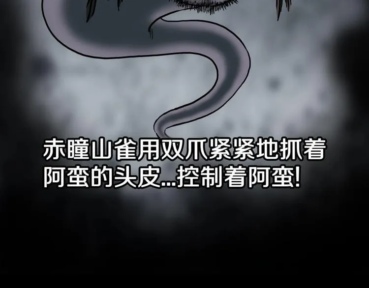 第38话 赤瞳山雀事件（3） 第50页