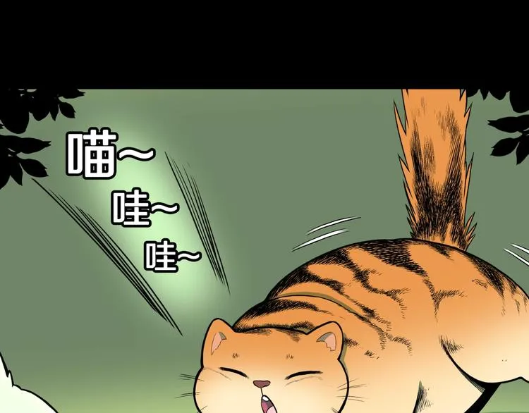第37话 赤瞳山雀事件（2） 第41页