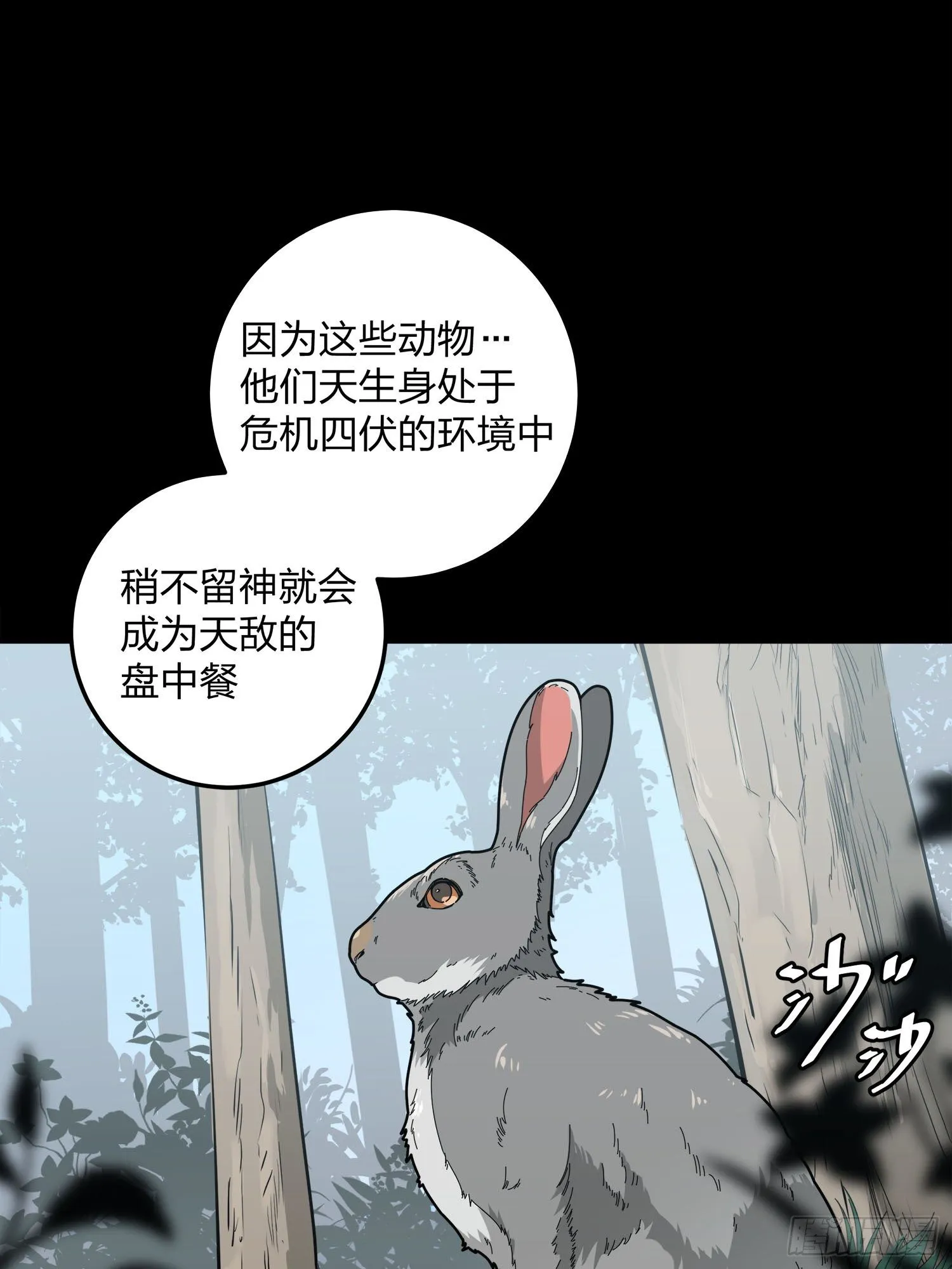 11话.不愿回忆 第5页