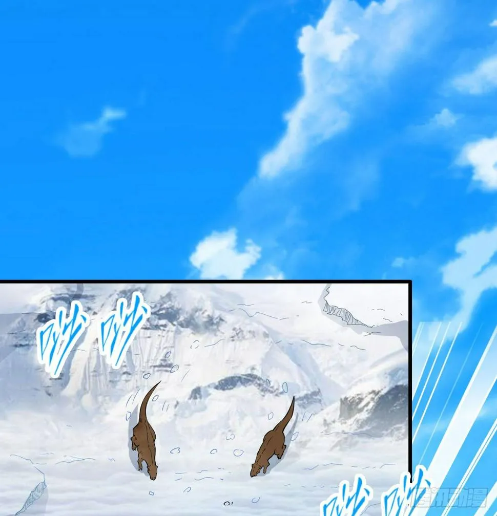 010 双熊斗 第2页