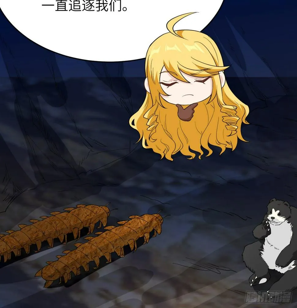 010 双熊斗 第15页