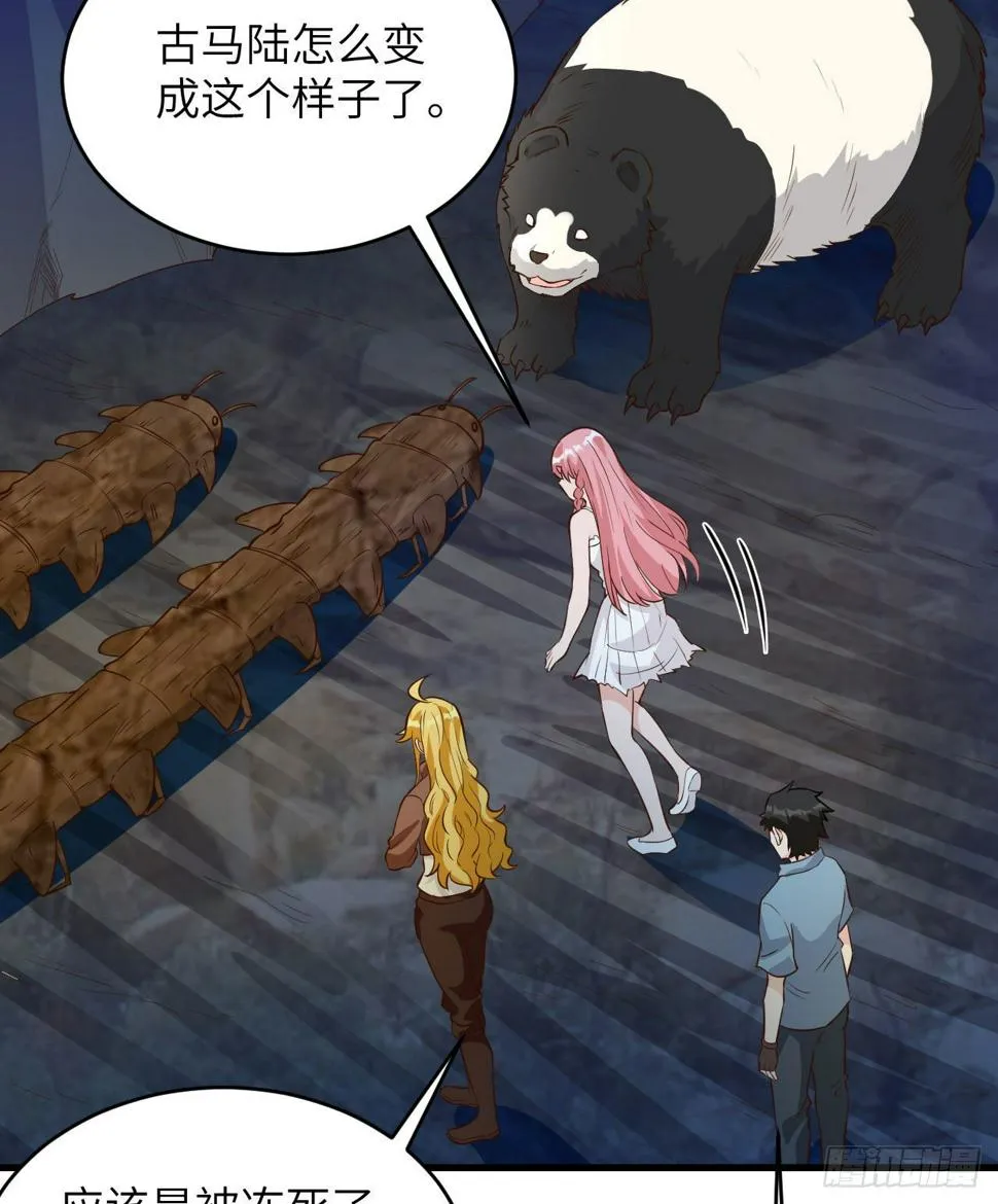 010 双熊斗 第25页