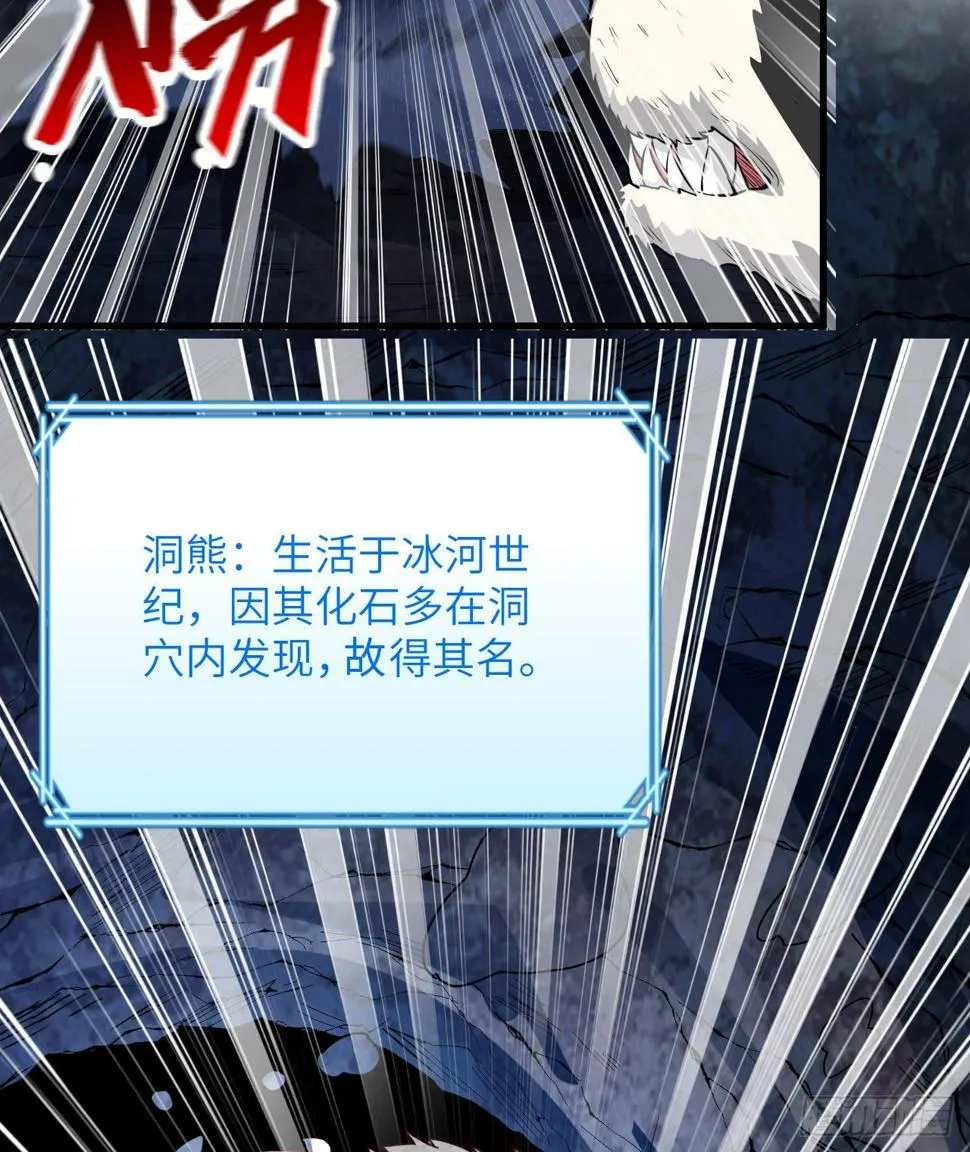010 双熊斗 第37页