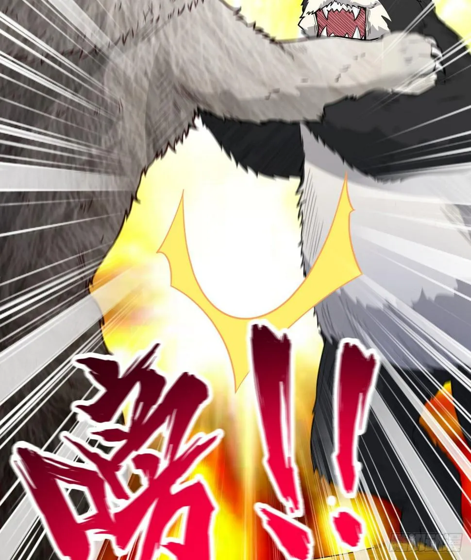 010 双熊斗 第41页