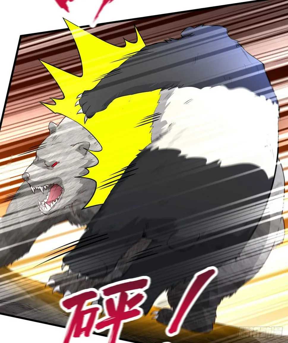 010 双熊斗 第45页