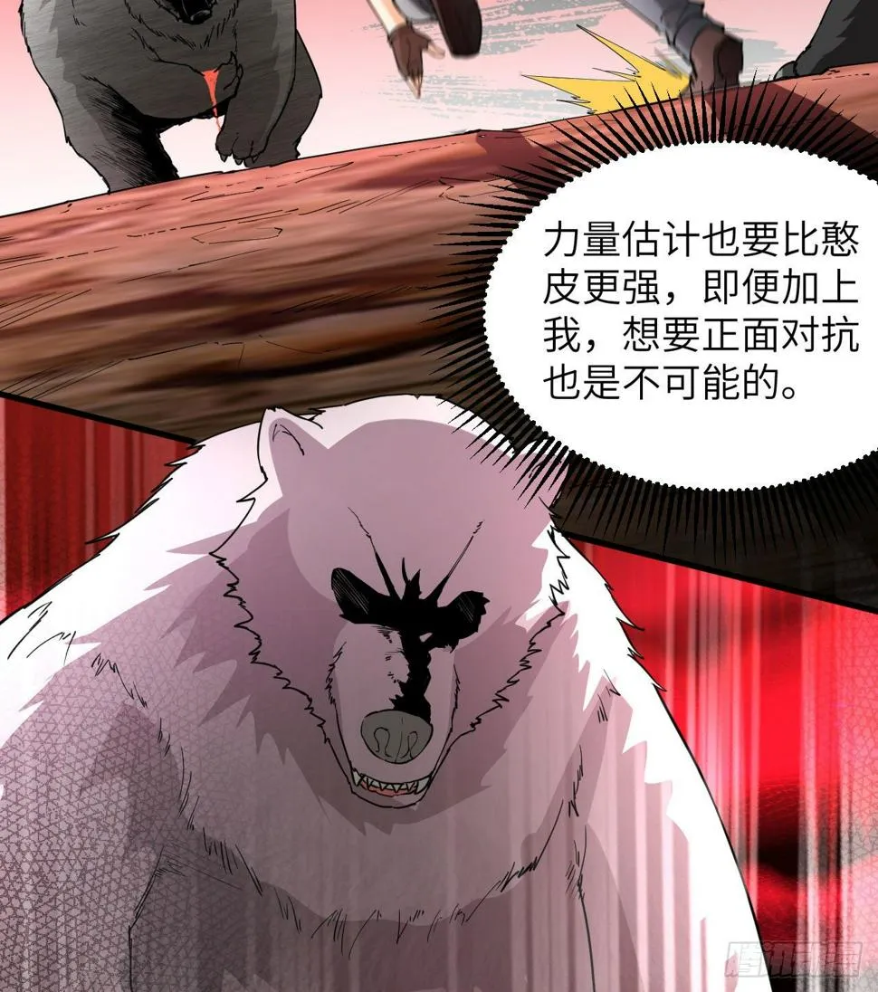 010 双熊斗 第53页