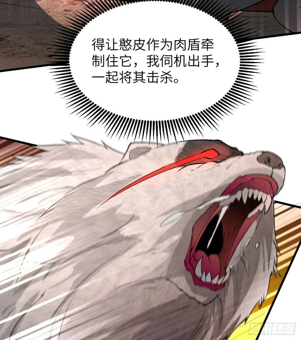 010 双熊斗 第55页
